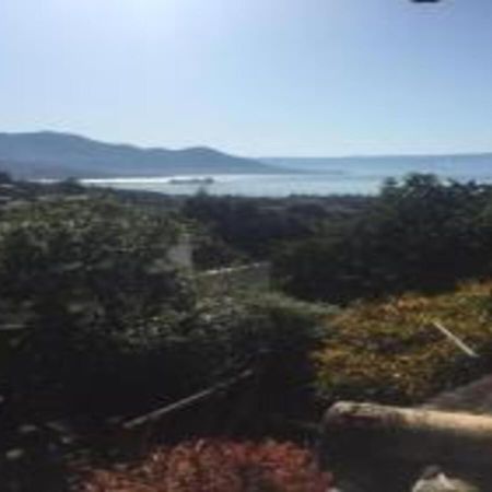 Bela Ilha Guest House Ilhabela Dış mekan fotoğraf